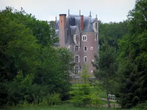 Schloß Moulin - Schloß umgeben mit Bäumen, in der Sologne