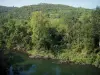 Schluchten der Cèze - Bäume am Flussufer der Cèze