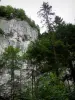 Schluchten des Doubs - Felsen (Felswand) und Bäume