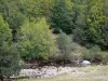 Schluchten der Dourbie - Fluss Dourbie, Felsen und Bäume; in den Cevennen