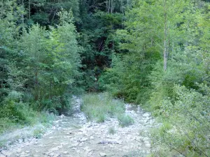 Schluchten des Gats - Bäume am Wasser