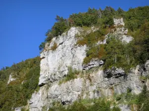 Schluchten des Gats - Felswand und Bäume