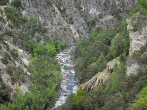 Schluchten des Guil - Gebirgsbach Guil gesäumt von Bäumen und Felswänden; im Regionalen Naturpark Queyras