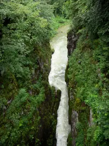 Schluchten der Langouette - Schluchten, Fluss (die Saine) und Bäume