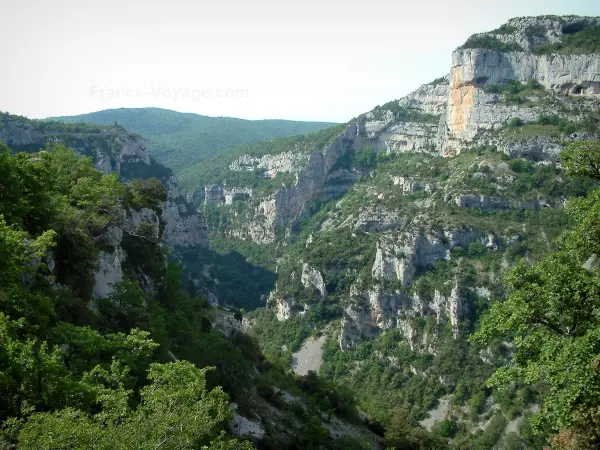 Schluchten Nesque - Wilder Canyon mit Felsen, Felswänden, Bäumen und Wäldern