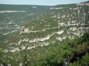 Schluchten Nesque - Wilder Canyon mit Felswänden, Bäume