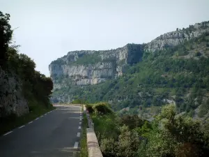 Schluchten Nesque - Strasse des Canyon, schroffe Felsen (Felswände) und Bäume