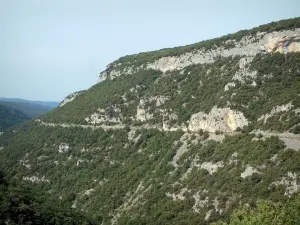 Schluchten Nesque - Felsen und Bäume