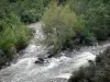 Schluchten des Orb - Fluss Orb, Bäume am Rande des Wassers, im Regionalen Naturpark des Haut-Languedoc