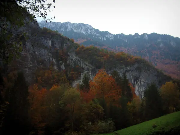 Schluchten des Pont du Diable - Felsen und Wald im Herbst