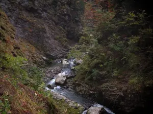 Schluchten des Pont du Diable - Wildbach mit Felsen