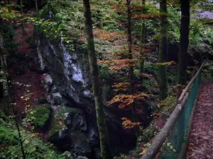 Schluchten des Pont du Diable - Geländer, felsiger Block und Bäume