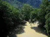 Schluchten der Roya - Fluss Roya gesäumt von Bäumen