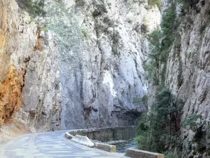 Schluchten Saint-Georges - Kalkfelswände überhängend den Fluss Aude und die Schluchtenstrasse