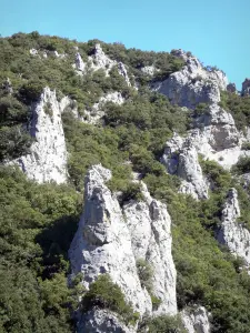 Schluchten Saint-Georges - Felswände umgeben von Grün