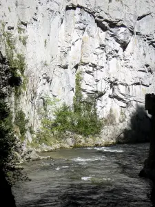 Schluchten Saint-Georges - Kalkfelswände dominierend die Gewässer des Flusses Aude