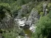 Schluchten des Tapoul - Nationalpark der Cevennen: Fluss Trépalous, Bäume am Wasserufer, und steil ansteigende Ufer