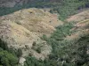 Schluchten des Tapoul - Nationalpark der Cevennen: Strasse der Schluchten