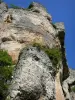 Schluchten des Tarn - Felswände des Talkessels Baumes; im Nationalpark der Cevennen