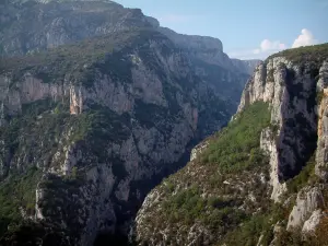 Schluchten des Verdon - Garrigue, Bäume und Felswände (Kalkfelsen) des Canyon (Regionaler Naturpark Verdon)