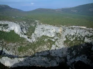 Schluchten des Verdon - Kalkfelsen (Felswände), Bäume und Garrigue (Regionaler Naturpark Verdon)