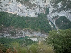 Schluchten des Verdon - Regionaler Naturpark Verdon:  Blick auf die Vegetation, die Bäume, die Felswände und den Zusammenfluss (die Mescla) des Verdon und des Artuby (Flüsse)