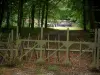 Schoenenbourg fort - Forest and fort of the Maginot Line