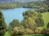 See Aydat - Wasserfläche gesäumt von bewaldeten Ufern (Bäume); im Regionalen Naturpark der Vulkane der Auvergne