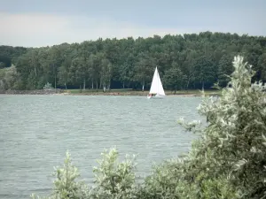 See Der-Chantecoq - Segelboot segelnd auf dem See Der, und bepflanztes Ufer