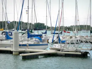 See Der-Chantecoq - Segelschiffe des Jachthafens von Nemours