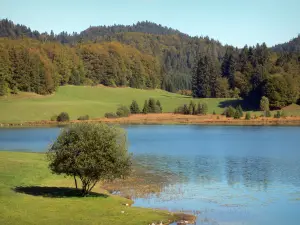 See Genin - See, Naturwiesen, Bäume und Wald; im Jura-Massiv (Haut-Bugey), auf den Gemeinden Charix, Echallon und Oyonnax