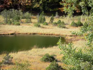 See Luitel - Naturschutzgebiet des Sees Luitel: Wasserfläche, Moor und Sträucher; im Belledonne Massiv, auf der Gemeinde Séchilienne