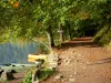 See Pavin - Schattiger (Bäume) Pfad am Seeufer und Barken; im Regionalen Naturpark der Vulkane der Auvergne, im Massiv des Sancy (Berge Dore)