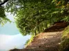 See Pavin - Pfad gesäumt von Bäumen am Seeufer; im Regionalen Naturpark der Vulkane der Auvergne, im Massiv des Sancy (Berge Dore)