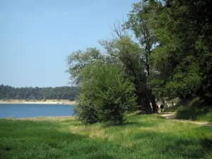 See Saint-Ferréol - Ufer mit Bäumen und Becken