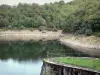 See des Staudamms von Sarrans - Wasserbecken und sein grünes Ufer