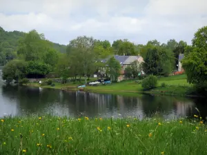 See von Vassivière - Gräser und wild wachsende Blumen im ersten Plan, Künstlicher See, Ufer, Häuser und Bäume