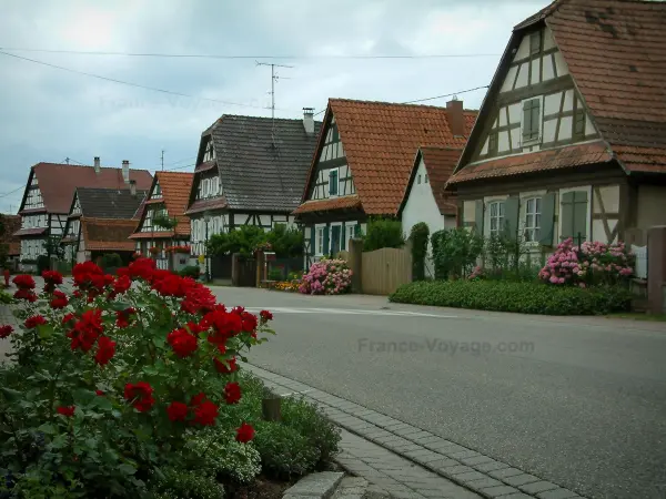Seebach - Rosier, strade e case a graticcio adornate con fiori