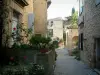 Séguret - Smalle straat geplaveid met stenen huizen versierd met bloemen, rozen en planten