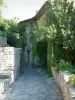 Séguret - Calle pavimentada casa de piedra y adornada con plantas trepadoras