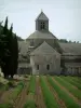 Sénanque abbey - Lavender field and Notre-Dame de Sénanque Cistercian abbey