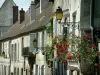 Senlis - Hausfassaden mit Rosenstrauch (rote Rosen) und Strassenleuchten