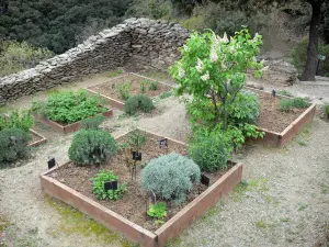 Serrabone priory - Sainte-Marie de Serrabona priory: botanical garden and Mediterranean plants