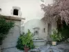Serres - Fontana, davanti alla casa e arbusti in vaso