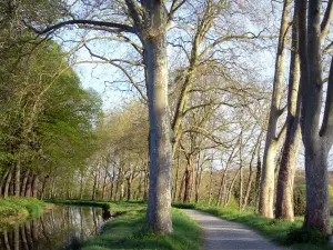 Seuil de Naurouze - Percorso lungo il canale di alimentazione del Canal du Midi in un ambiente boschivo