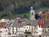 Seyne - Bell tower of the Pénitent chapel, houses of the old town, prairies and trees