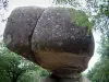 Sidobre - Peyro Clabado: rock (bloque) de granito mantenerse en equilibrio sobre un pedestal y los árboles (bosque), en el Parque Natural Regional del Alto Languedoc