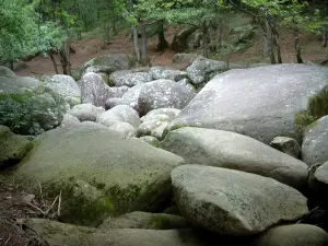 Sidobre - Chaos de la Resse: river with granite rocks (blocks) and trees (forest) in the Upper Languedoc Regional Nature Park