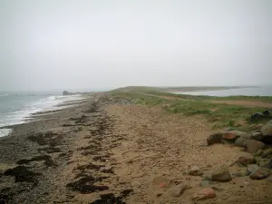 Sillon de Talbert - Étroite bande de sable et de galets, recouverte en partie d'algues et d'herbe, qui s'avance dans la mer (la Manche)