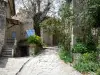 Simiane-la-Rotonde - Narrow street lined with houses and vegetation